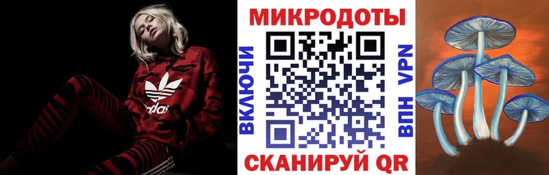 Псилоцибиновые грибы прущие грибы  Пущино 